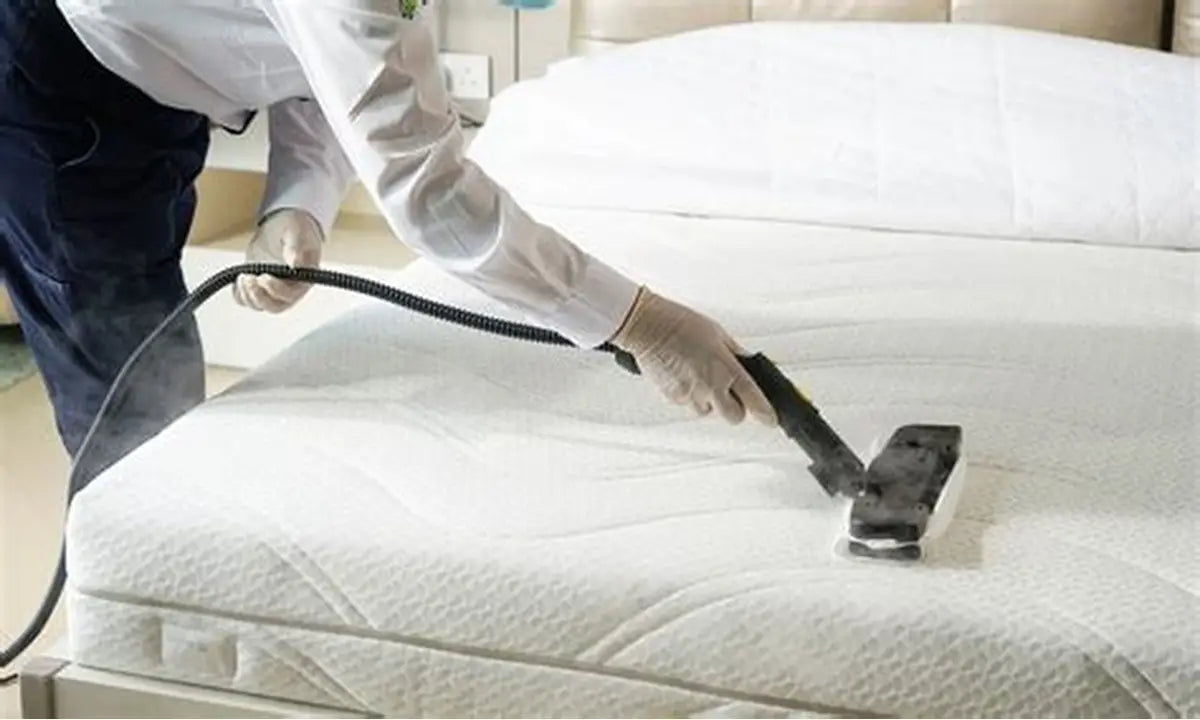 🛏️ Matratzenreinigung – Doppelmatratze