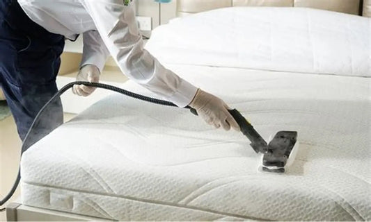 🛏️ Matratzenreinigung – Einzelmatratze